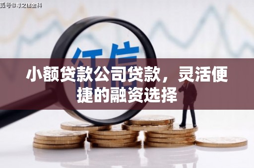 郎溪小额贷款公司贷款，灵活便捷的融资选择