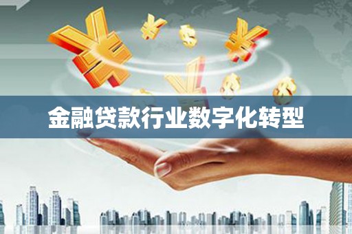 卢龙金融贷款行业数字化转型