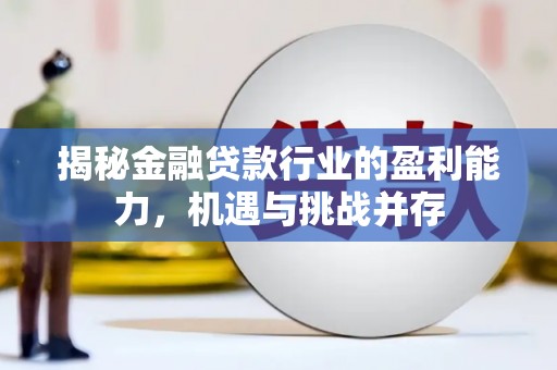 阳东揭秘金融贷款行业的盈利能力，机遇与挑战并存