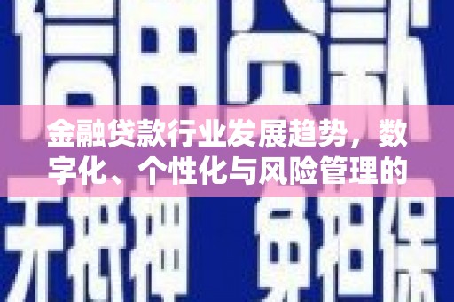 张北金融贷款行业发展趋势，数字化、个性化与风险管理的未来
