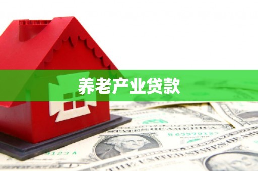 西盟养老产业贷款