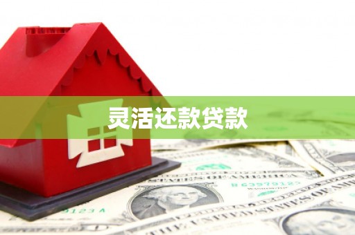 册亨灵活还款贷款